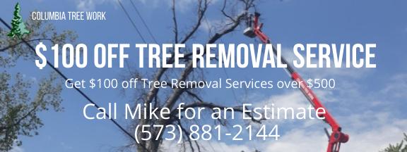 tree removal