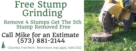 stump grinding