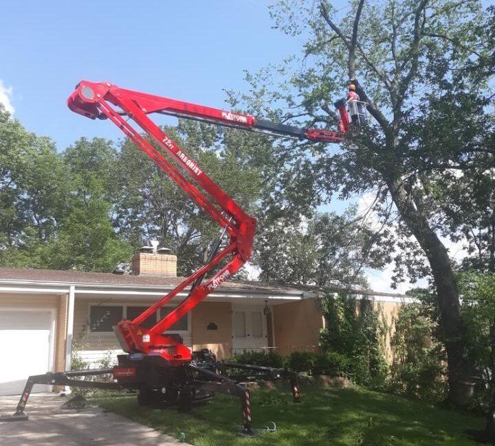 Tree Trimming