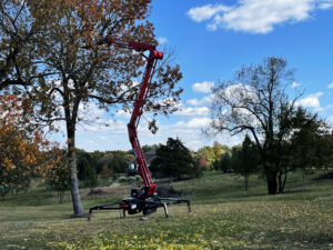 Removing unwanted tree limbs. Prune trees before they get out of hand and cause damage to property.