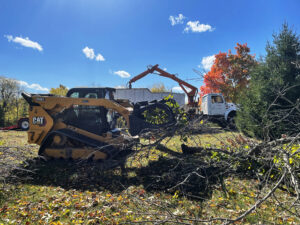 Professional's at Columbia Tree Work's cleaning up fallen trees and branches.